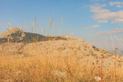 Yellow spikelets of grass with mountains in background. Panoramic landscape Foto stock