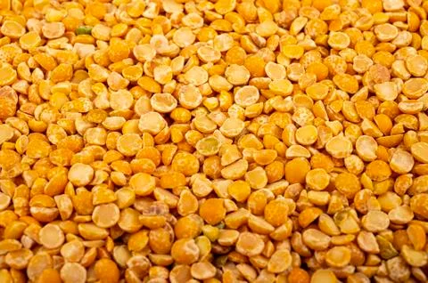 Yellow split peas, the texture of the surface. Traditional cereals for making Stock Photos