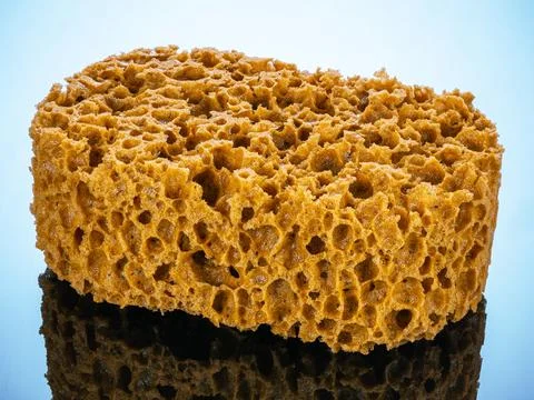 Yellow sponge for abstract decor effect and paints the wall Stock Photos