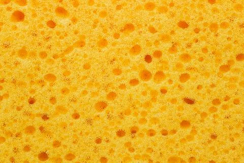 Yellow Sponge Macro Close Up Texture Abstract Background Stock Photos