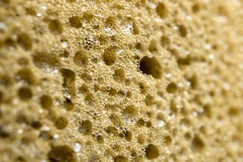 Yellow sponge perforated texture background Stock Photos