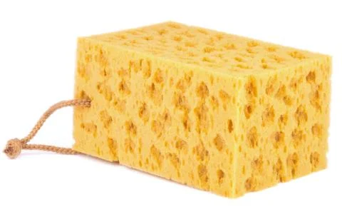 Yellow Sponge Stock Photos