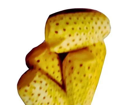 Yellow Sponge Texture Close-Upcopy 스톡 사진