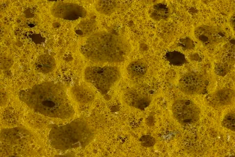 Yellow sponge texture or pattern Foto stock