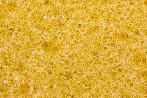 Yellow sponge texture Stock Photos