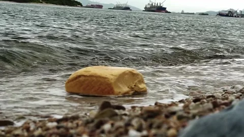 A yellow sponge washed ashore on sandy beach Stock Footage 317883047