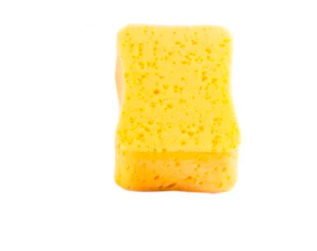 Yellow sponge on White background 写真素材