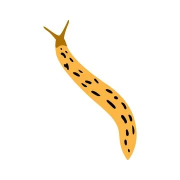Yellow spotted slug crawling vector illustration isolated on white background Stock Illustration