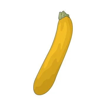 Yellow Squash illustration Stock Illustration