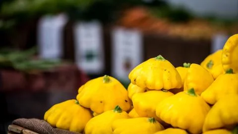 Yellow squash Stock-Fotos