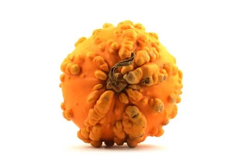 Yellow squash with pimples Stock Photos