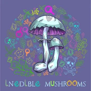 Yellow staining mushroom Stock Illustration