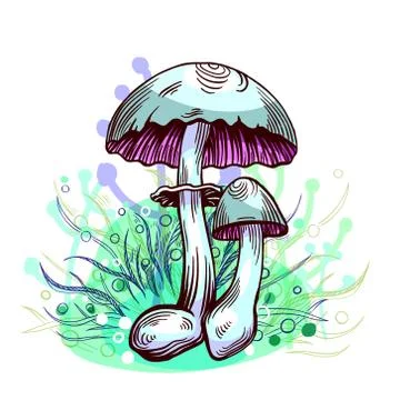 Yellow staining mushroom Stock Illustration