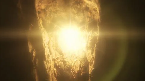 Yellow Starry Light Nested in Tree Trunk Фото