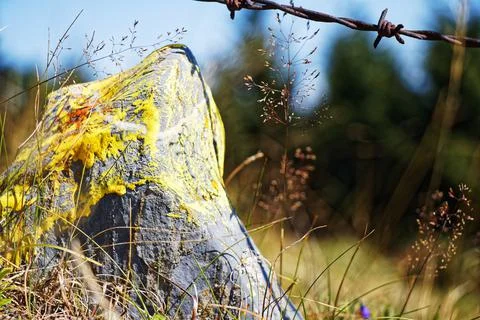 Yellow stone Stock Photos