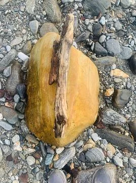 Yellow stone Stock Photos