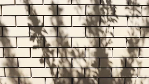 A yellow stone wall with a beautiful tree shadow. Stock Footage 196316308