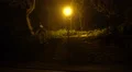 Yellow streetlight at night illuminating a wall and tree in UK HD Footage
