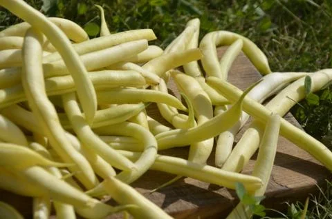 Yellow string beans (green beans) Stock Photos