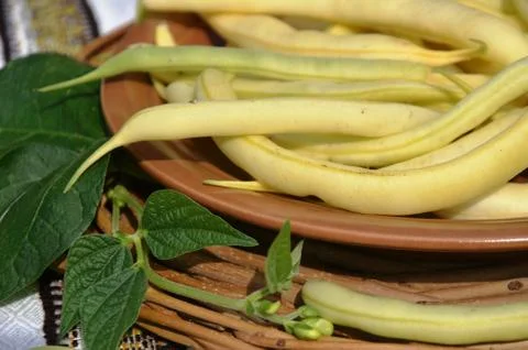 Yellow string beans (green beans) Stock Photos