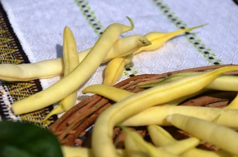 Yellow string beans (green beans) Stock Photos
