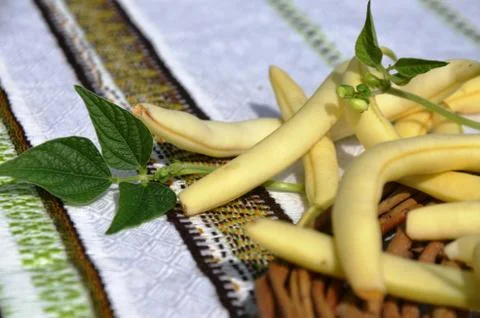 Yellow string beans (green beans) Stock Photos