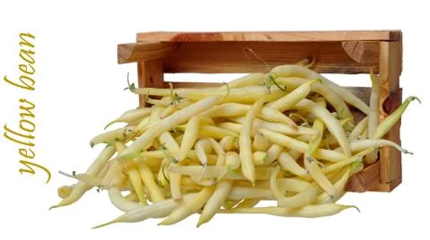 Yellow string beans Stock Photos