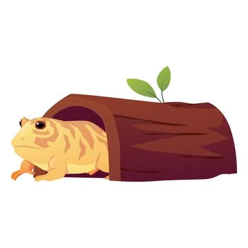 Yellow striped toad under a log, terrarium pet. Exotic animal. Stock Illustration