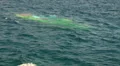 Yellow Submarine comes up from diving HD Footage