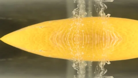 Yellow Submarine Stock Footage 256098253