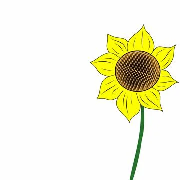 Yellow sunflower background Stock Illustration