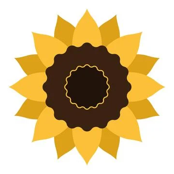 Yellow sunflower bloom. Vector Stock Illustration