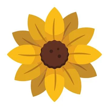 Yellow sunflower bloom. Vector Stock Illustration