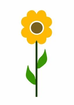 Yellow sunflower helios vector Stock Illustration