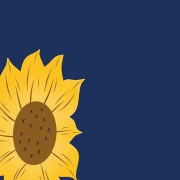 Yellow sunflowers in full bloom Stock Illustration