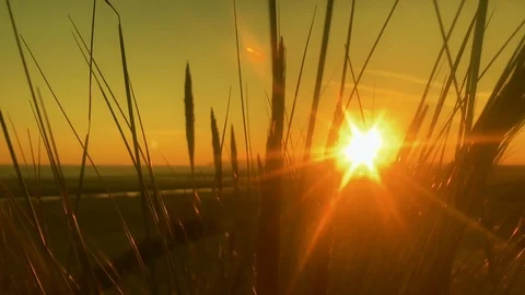 Yellow Sunset and sand dune silhouettes Video stock 106814937