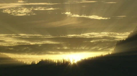 Yellow Sunset HD Stock Footage 335682