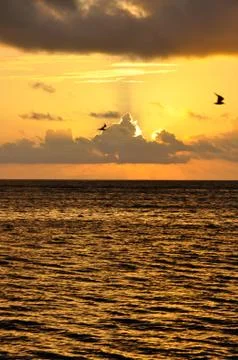 Yellow sunset over the ocean Stock Photos