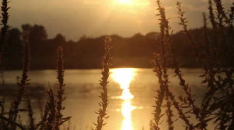 Yellow Sunset on a pond Stock Footage 28502608