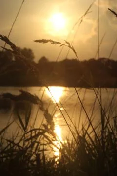 Yellow Sunset on a pond Foto stock