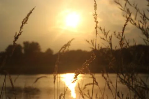 Yellow Sunset on a pond Foto stock