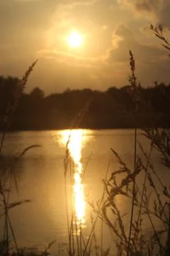 Yellow Sunset on a pond Foto stock