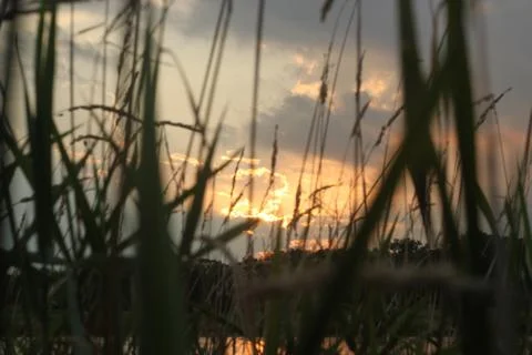 Yellow Sunset on a pond Foto stock
