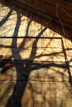 Yellow sunset tree shadow on an old wooden country house Stock Photos