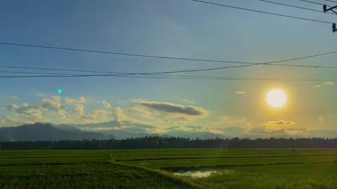 Yellow sunshine Video stock 245260689