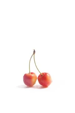 Yellow sweet cherry isolate on white Stock Photos