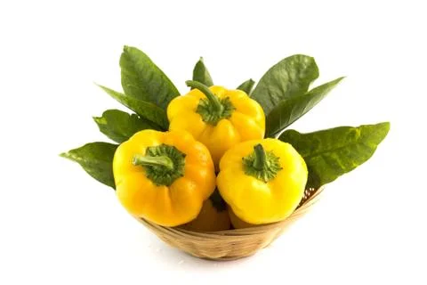 Yellow sweet pepper Stock Photos