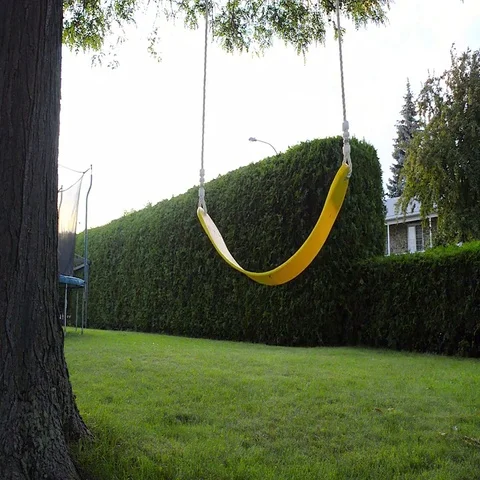 Yellow swing Video stock 69515689