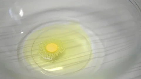 The yellow tablet dissolves in a plate of liquid. Easter egg paint Stock Footage 153908902