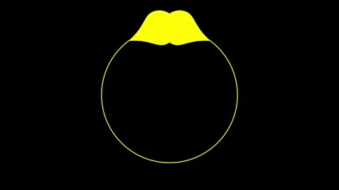 Yellow Teardrop Shapes Inside Circle on Black Stock Footage 335576524